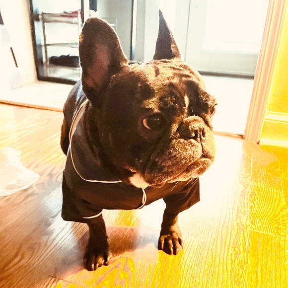 Meet the Posher Other - Meet your Posher, Tara